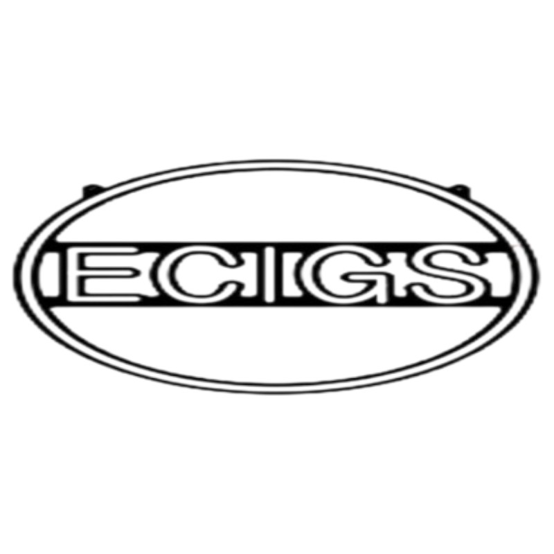 E-Cigs - LED Sign - 1CT - 15.7 inch