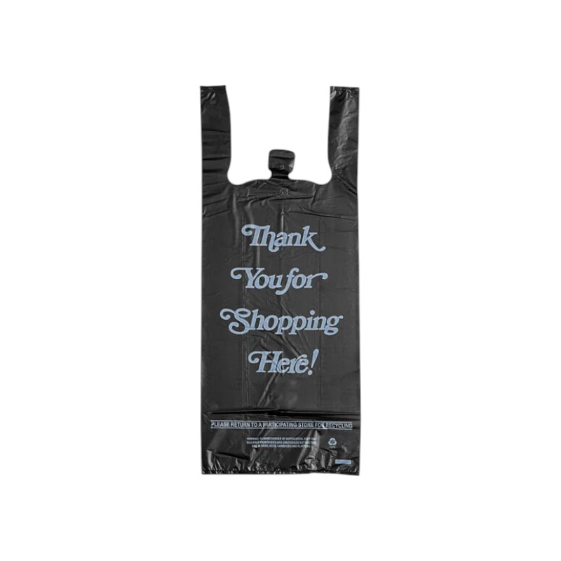 2 BOTTLE LIQUOR BAG 8 X 20 HEAVY DUTY (28M) - 1000 PCS/CS